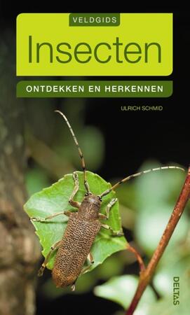 Insecten - Ulrich Schmid Insecten - Ulrich Schmid