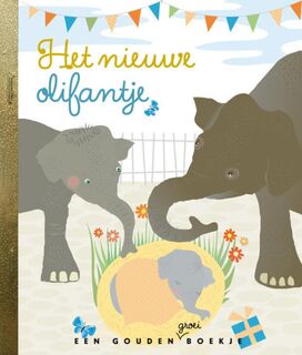 Het nieuwe olifantje - Sieneke de Rooij (ISBN 9789047611042)
