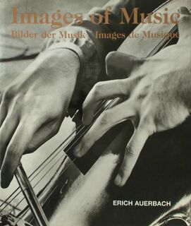 Bilder Der Musik - Erich Auerbach, Michael Rose, Leon Meyer (ISBN 9783895082160)