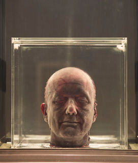 Marc Quinn: Chronos & Cosmos - Marc Quinn, Alain De Botton, Adam Rutherford, Germano Celant (ISBN 9781906257385)