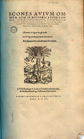 Icones avium omnium, quae in Historia avium Conradi Gesneri describuntur cum nomenclaturis singulorum latinis, italicis, gallicis et germanicis plerunque... - Icones avium omnium, quae in Historia avium Conradi Gesneri describuntur cum nomenclaturis singulorum latinis, italicis, gallicis et germanicis plerunque... -