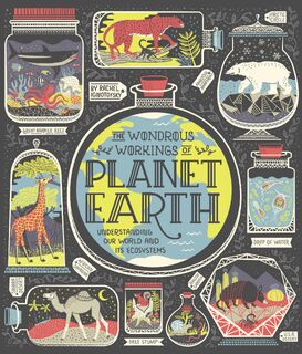 The Wondrous Workings of Planet Earth - Rachel Ignotofsky (ISBN 9780399580413)