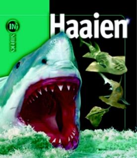 Haaien
