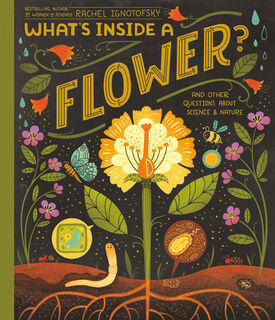 What's Inside A Flower? - Rachel Ignotofsky (ISBN 9780593176474)