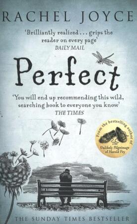 Perfect - Rachel Joyce