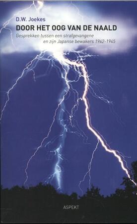 Door het oog van de naald - D.W. Joekes