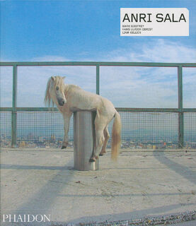 Anri Sala - Hans Ulrich Obrist Mark Godfrey (ISBN 9780714845272)