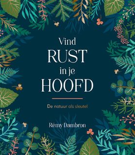 Vind rust in je hoofd - (ISBN 9789036649193)