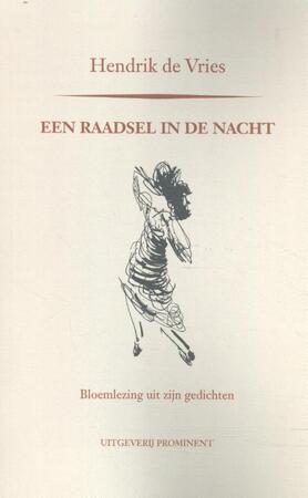 Een raadsel in de nacht - Hendrik de Vries