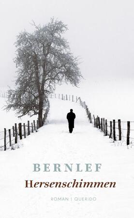 Hersenschimmen - Bernlef, J. Bernlef Hersenschimmen - Bernlef, J. Bernlef