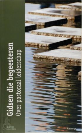 Gidsen die begeesteren - Marc Steen