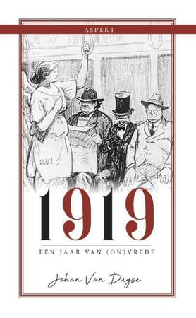 1919, een jaar van (on)vrede - Johan van Duyse