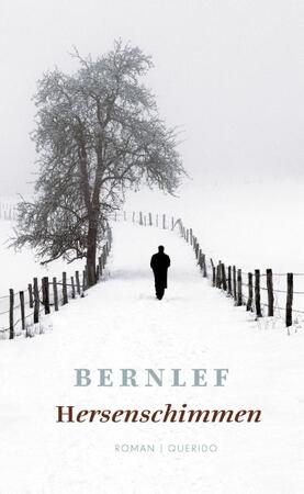 Hersenschimmen - J. Bernlef Hersenschimmen - J. Bernlef