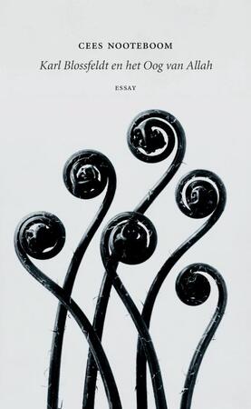 Karl Blossfeldt en het Oog van Allah - Cees Nooteboom Karl Blossfeldt en het Oog van Allah - Cees Nooteboom