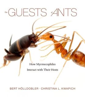 The Guests of Ants - Bert Holldobler, Christina L. Kwapich (ISBN 9780674265516)