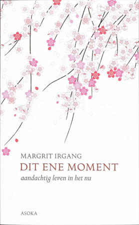 Dit ene moment - M. Irgang