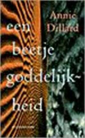 Een beetje goddelijkheid - Annie Dillard, Heleen ten Holt