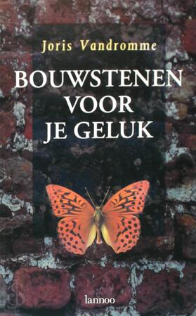 Bouwstenen voor je geluk - Joris Vandromme