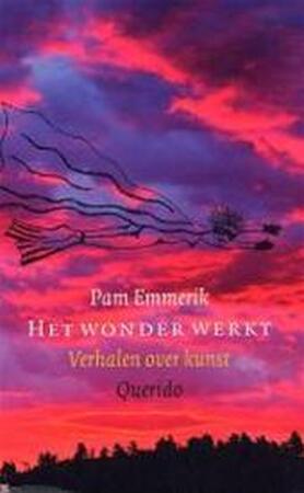 Het wonder werkt - P. Emmerik Het wonder werkt - P. Emmerik