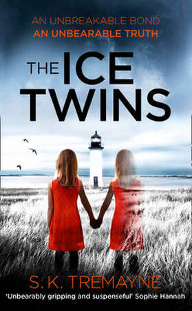 Ice Twins - S K Tremayne