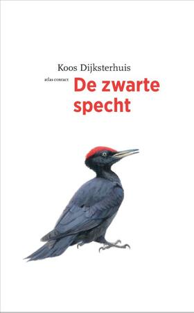 De zwarte specht - Koos Dijksterhuis