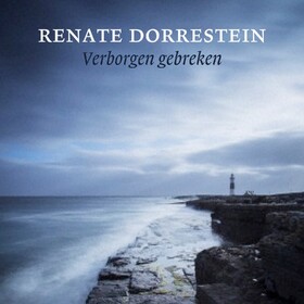 Verborgen gebreken - Renate Dorrestein Verborgen gebreken - Renate Dorrestein