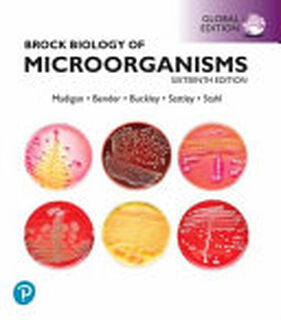 Brock Biology of Microorganisms - Michael T. Madigan, Kelly S. Bender, Jennifer Aiyer, Daniel Hezekiah Buckley, Thomas D. Brock, W. Matthew Sattley, David Allan Stahl (ISBN 9781292404790)
