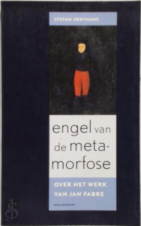 Engel van de metamorfose - Stefan Hertmans Engel van de metamorfose - Stefan Hertmans