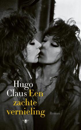 Een zachte vernieling - Hugo Claus