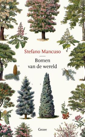 Bomen van de wereld - Stefano Mancuso