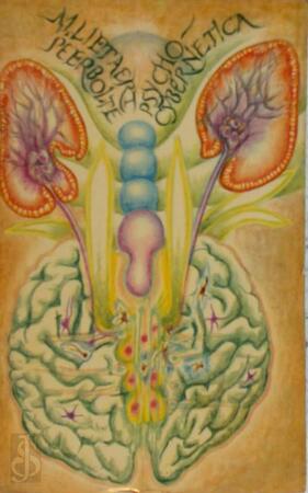 Psychocybernetica - M. Lietaert Peerbolte