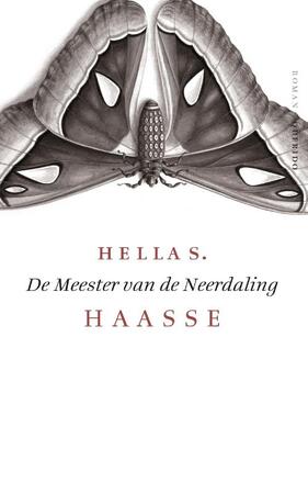 De meester van de neerdaling - Hella Haasse