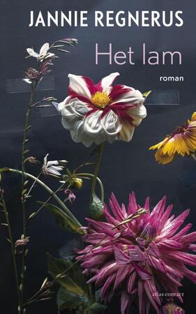 Het lam - Jannie Regnerus