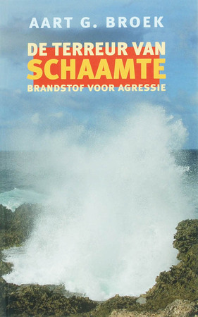 De terreur van schaamte - A.G. Broek