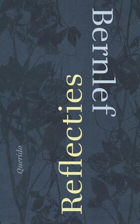 Reflecties - Bernlef Reflecties - Bernlef
