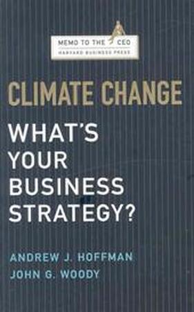 Climate Change: What's Your Business Strategy? - Andrew Hoffman