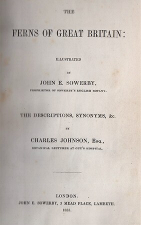 The ferns of Great Britain. The descriptions, synonyms etc. / The fern allies: a supplement to the ferns of Great Britain - John E. Sowerby, Charles Johnson The ferns of Great Britain. The descriptions, synonyms etc. / The fern allies: a supplement to the ferns of Great Britain - John E. Sowerby, Charles Johnson