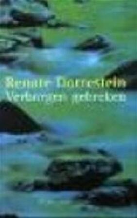 Verborgen gebreken - Renate Dorrestein Verborgen gebreken - Renate Dorrestein