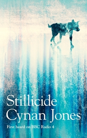 Stillicide - Cynan Jones