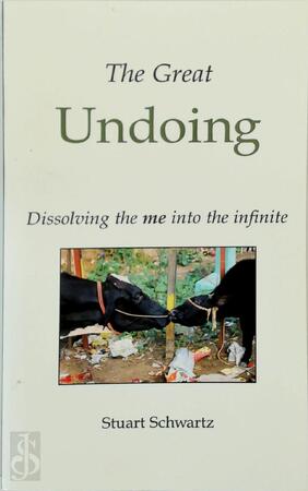 The Great Undoing - Stuart Schwartz