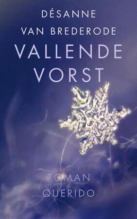 Vallende vorst - Désanne Van Brederode