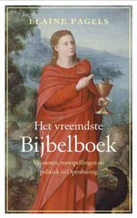 Het vreemdste Bijbelboek - Elaine Pagels