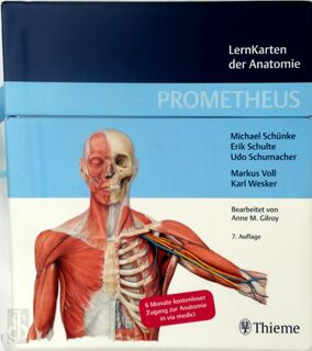 Prometheus - LernKarten der Anatomie - Michael Schünke, Erik Schulte, Udo Schumacher (ISBN 9783132434813)