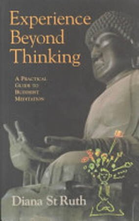 Experience Beyond Thinking - Diana St. Ruth