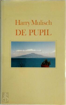 De pupil - Harry Mulisch