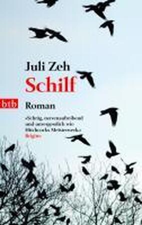 Schilf - Juli Zeh