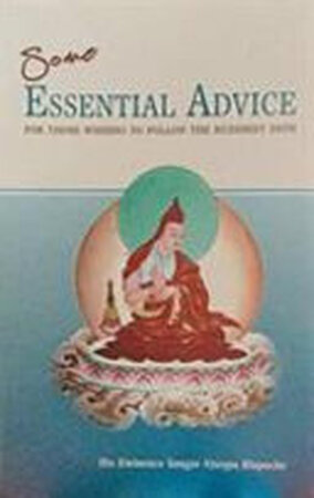 Some Essential Advice for Those Wishing to Follow the Buddhist Path - Sangs-Rgyas-Mnyan-Pa X (Rin-Po-Che)