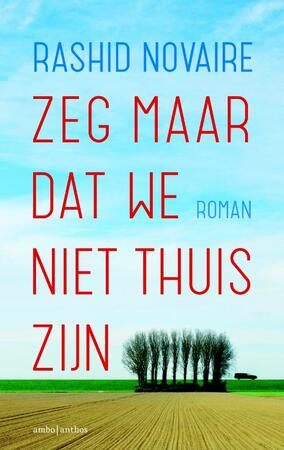 Zeg maar dat we niet thuis zijn - Rashid Novaire
