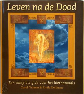 Leven na de dood - Carol Neiman, Emily Goldman, Marten Hofstede (ISBN 9789038903293)
