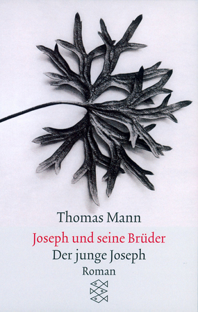 Joseph und seine Brüder II. Der junge Joseph - Thomas Mann